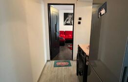Apartament 2 camere, 40mp, etajul 1, Micro 11