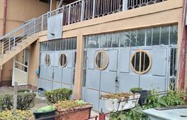 Oportunitate se schimbă vilă Ulmi cu casa mai mica in Targoviște