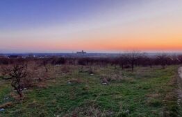 Oportunitate investitie, Teren intravilan, Valea Sasului-Manastirea Dealu