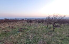 Oportunitate investitie, Teren intravilan, Valea Sasului-Manastirea Dealu