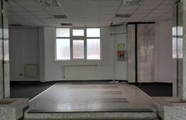 Spatiu comercial, 800 mp, Fieni