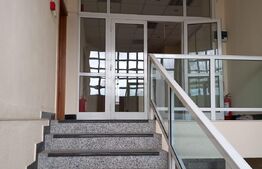 Spatiu comercial, 800 mp, Fieni