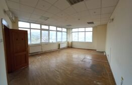 Spatiu comercial, 800 mp, Fieni