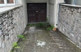 Spatiu comercial, 800 mp, Fieni