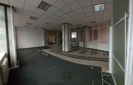 Spatiu comercial, 800 mp, Fieni