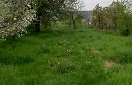 Casa individuala, 20 mp, teren 2315 mp, Voinesti