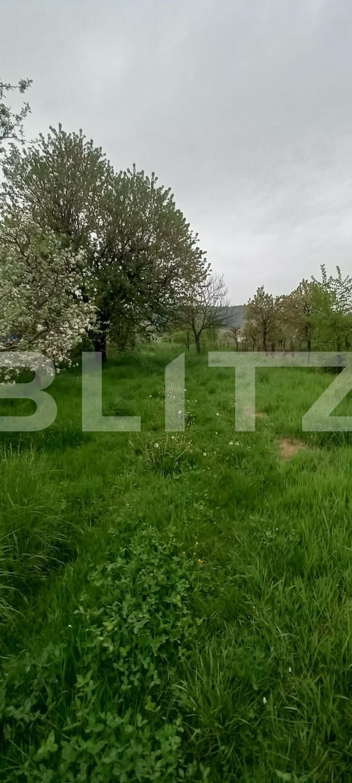 Casa de vânzare 2 camere Exterior Nord - 115506CV | BLITZ Târgoviște | Poza4