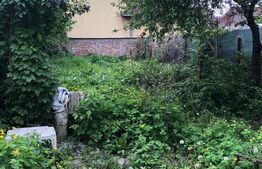 Teren si casa ultracentral Targoviste