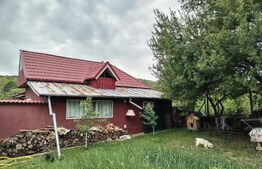 Casă/Vilă 200mp utili, 1300mp teren Valea Sasului