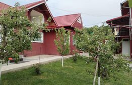 Casă/Vilă 200mp utili, 1300mp teren Valea Sasului