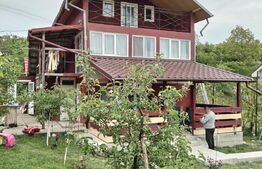 Casă/Vilă 200mp utili, 1300mp teren Valea Sasului