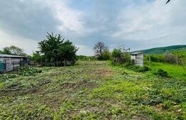 Oportunitate! Teren intravilan 1000 mp, Bucsani