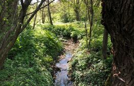 Casa individuala 75 mp, teren 1600mp , Viforata