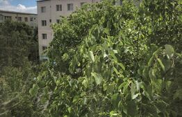 Apartament, decomandat, 4 camere, etaj 2, spatios, recent renovat,Micro IV, zona Supermarket Diana