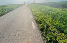 Teren 5500mp,extravilan,sat Dimoiu