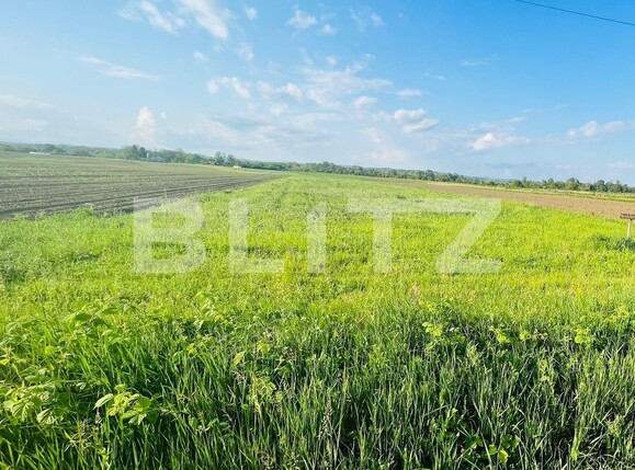 Teren de vânzare Exterior Nord - 116866TV | BLITZ Târgoviște | Poza2