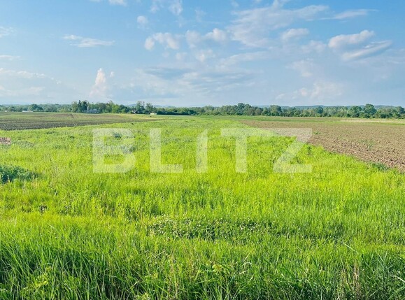 Teren de vânzare Exterior Nord - 116866TV | BLITZ Târgoviște | Poza1