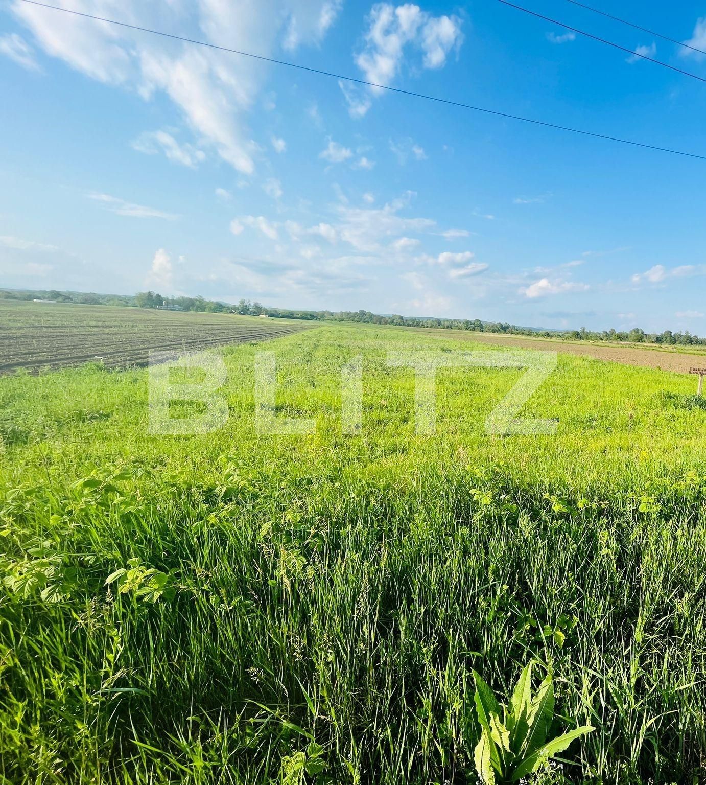 Teren de vânzare Exterior Nord - 116866TV | BLITZ Târgoviște | Poza2