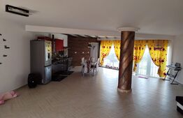 Casă de vacanță cu helesteu 180mp utili, 975mp teren Ulmi