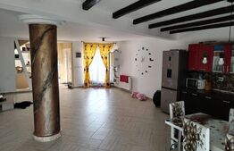 Casă de vacanță cu helesteu 180mp utili, 975mp teren Ulmi