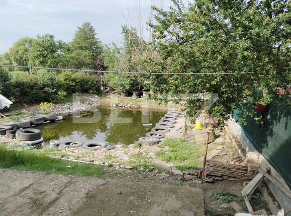 Casa de vânzare 7 camere Colanu - 117797CV | BLITZ Târgoviște | Poza13