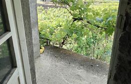 Casă familială individuală 129 mp utili, 1026 mp teren Gura Ocniței