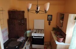 Casă familială individuală 129 mp utili, 1026 mp teren Gura Ocniței