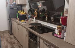 Ocazie specială, Casă familială P+M 150mp Valea Voievozilor