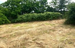 Casa individuala, 40 mp, teren 2000 mp, Raciu