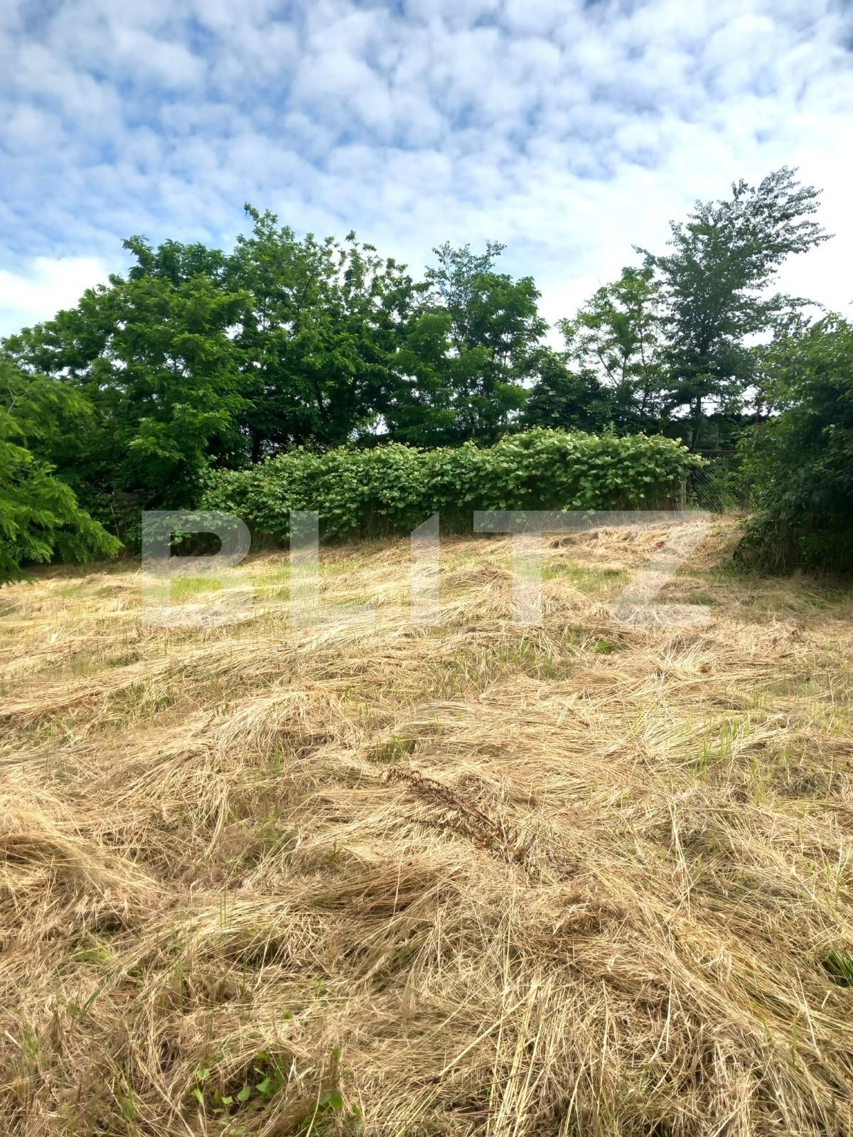 Casa de vânzare 3 camere Exterior Sud - 117874CV | BLITZ Târgoviște | Poza5