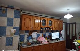 Casă 4 camere, 130mp, terenul 2300mp, Văcărești