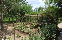 Casă 4 camere, 130mp, terenul 2300mp, Văcărești