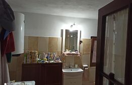 Casă 4 camere, 130mp, terenul 2300mp, Văcărești