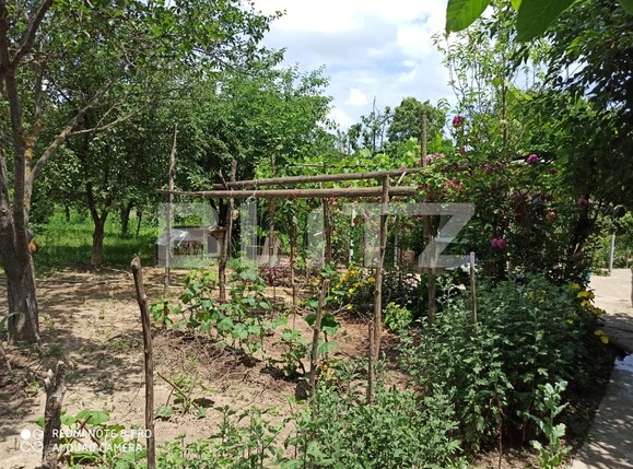 Casa de vânzare 4 camere Centura - 118763CV | BLITZ Târgoviște | Poza9