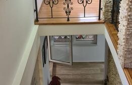 Vilă 7 camere, 240mp, 1253mp teren, Fieni