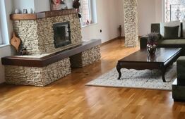 Vilă 7 camere, 240mp, 1253mp teren, Fieni