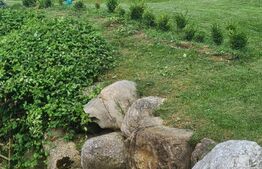 Vilă 7 camere, 240mp, 1253mp teren, Fieni