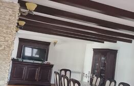 Vilă 7 camere, 240mp, 1253mp teren, Fieni