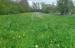 Casa individuală 2 camere, 60mp, teren 3900mp, Comișani