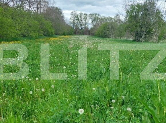 Casa de vânzare 2 camere Exterior Sud - 119477CV | BLITZ Târgoviște | Poza4