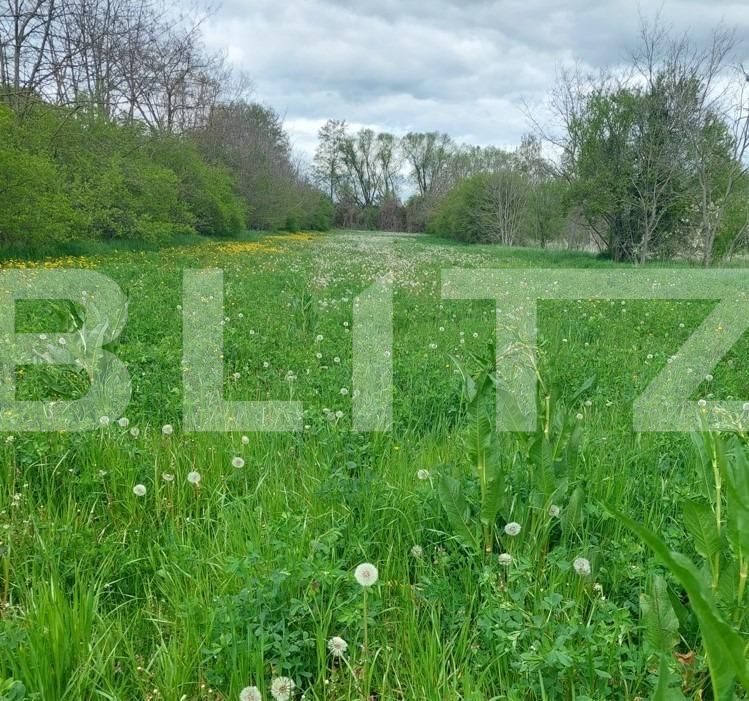 Casa de vânzare 2 camere Exterior Sud - 119477CV | BLITZ Târgoviște | Poza4