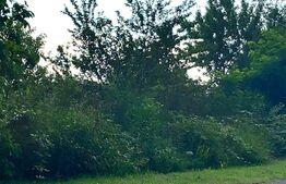 Teren intravilan, 3615 mp, Dambovita Mall