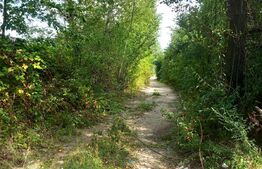 Teren intravilan, 3615 mp, Dambovita Mall