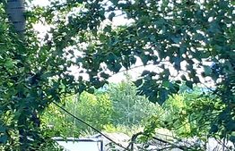 Teren intravilan, 3615 mp, Dambovita Mall