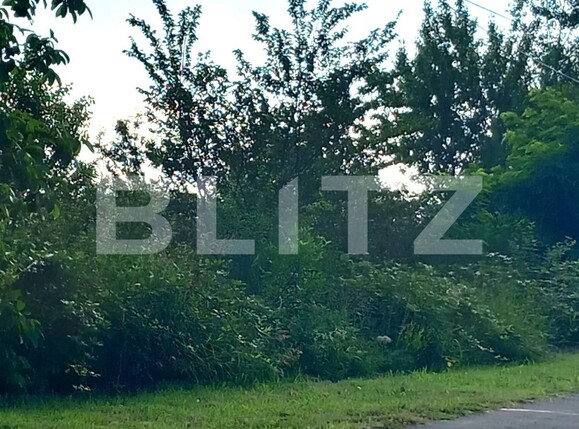 Teren de vânzare Industriala - 120011TV | BLITZ Târgoviște | Poza2