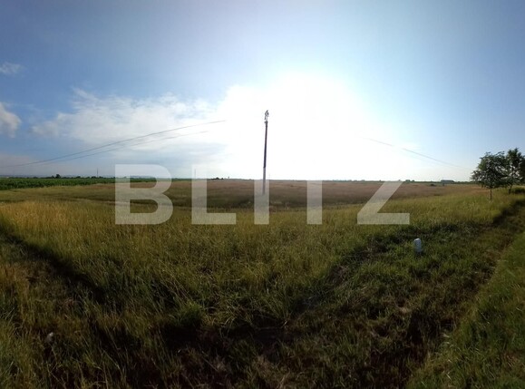 Teren de vânzare Exterior Sud - 120025TV | BLITZ Târgoviște | Poza3