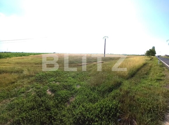 Teren de vânzare Exterior Sud - 120025TV | BLITZ Târgoviște | Poza2