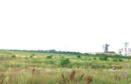 Teren extravilan, 972 mp, Targoviste