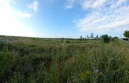 Teren extravilan, 972 mp, Targoviste