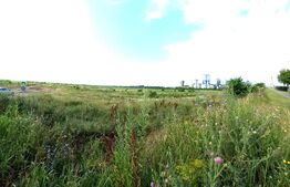 Teren extravilan, 972 mp, Targoviste